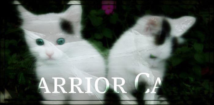 Warrior cat RPG top 50